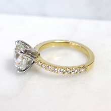 Load image into Gallery viewer, diamond solitaire with scoop micropave diamonds
